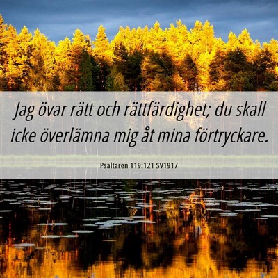 Picture 06 - Psaltaren 119:121 SV1917 - Jag övar rätt och rättfärdighet; du skall - Bible Verse Picture