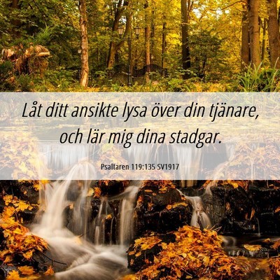 Picture 06 - Psaltaren 119:135 SV1917 - Låt ditt ansikte lysa över din tjänare, och - Bible Verse Picture