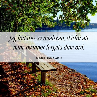 Picture 06 - Psaltaren 119:139 SV1917 - Jag förtäres av nitälskan, därför att mina - Bible Verse Picture