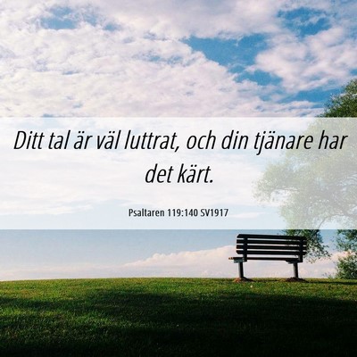 Picture 06 - Psaltaren 119:140 SV1917 - Ditt tal är väl luttrat, och din tjänare har - Bible Verse Picture