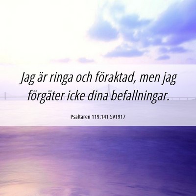 Picture 06 - Psaltaren 119:141 SV1917 - Jag är ringa och föraktad, men jag förgäter - Bible Verse Picture