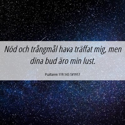 Picture 06 - Psaltaren 119:143 SV1917 - Nöd och trångmål hava träffat mig, men dina - Bible Verse Picture