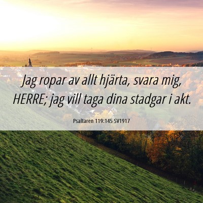 Picture 06 - Psaltaren 119:145 SV1917 - Jag ropar av allt hjärta, svara mig, HERRE; jag - Bible Verse Picture