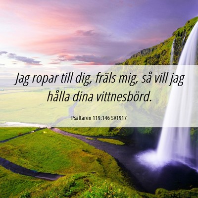 Picture 06 - Psaltaren 119:146 SV1917 - Jag ropar till dig, fräls mig, så vill jag - Bible Verse Picture