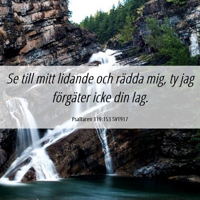 Picture 06 - Psaltaren 119:153 SV1917 - Se till mitt lidande och rädda mig, ty jag - Bible Verse Picture
