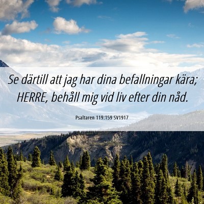 Picture 06 - Psaltaren 119:159 SV1917 - Se därtill att jag har dina befallningar kära; - Bible Verse Picture