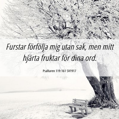 Picture 06 - Psaltaren 119:161 SV1917 - Furstar förfölja mig utan sak, men mitt hjärta - Bible Verse Picture