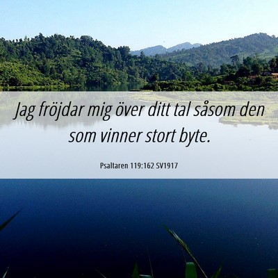 Picture 06 - Psaltaren 119:162 SV1917 - Jag fröjdar mig över ditt tal såsom den som - Bible Verse Picture
