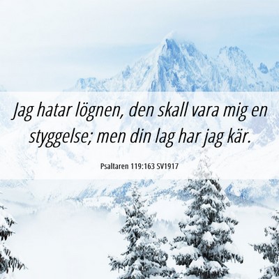 Picture 06 - Psaltaren 119:163 SV1917 - Jag hatar lögnen, den skall vara mig en - Bible Verse Picture