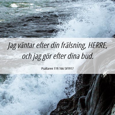 Picture 06 - Psaltaren 119:166 SV1917 - Jag väntar efter din frälsning, HERRE, och jag - Bible Verse Picture