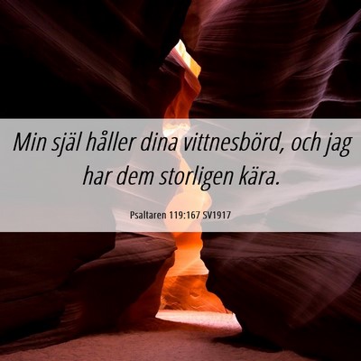 Picture 06 - Psaltaren 119:167 SV1917 - Min själ håller dina vittnesbörd, och jag har - Bible Verse Picture