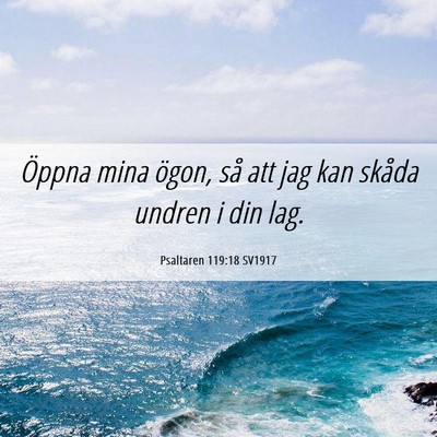 Picture 06 - Psaltaren 119:18 SV1917 - Öppna mina ögon, så att jag kan skåda undren - Bible Verse Picture