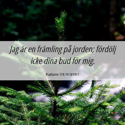 Picture 06 - Psaltaren 119:19 SV1917 - Jag är en främling på jorden; fördölj icke - Bible Verse Picture