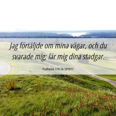 Picture 06 - Psaltaren 119:26 SV1917 - Jag förtäljde om mina vägar, och du svarade - Bible Verse Picture