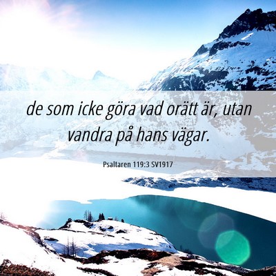 Picture 06 - Psaltaren 119:3 SV1917 - de som icke göra vad orätt är, utan vandra på - Bible Verse Picture