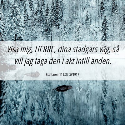 Picture 06 - Psaltaren 119:33 SV1917 - Visa mig, HERRE, dina stadgars väg, så vill jag - Bible Verse Picture