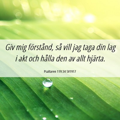Picture 06 - Psaltaren 119:34 SV1917 - Giv mig förstånd, så vill jag taga din lag i - Bible Verse Picture