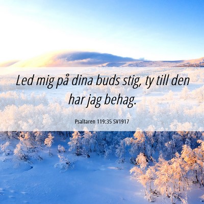 Picture 06 - Psaltaren 119:35 SV1917 - Led mig på dina buds stig, ty till den har jag - Bible Verse Picture