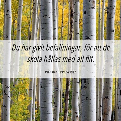 Picture 06 - Psaltaren 119:4 SV1917 - Du har givit befallningar, för att de skola - Bible Verse Picture
