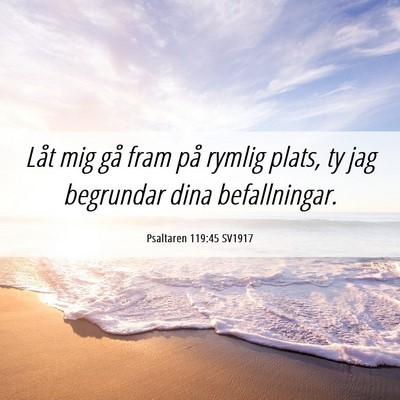 Picture 06 - Psaltaren 119:45 SV1917 - Låt mig gå fram på rymlig plats, ty jag - Bible Verse Picture