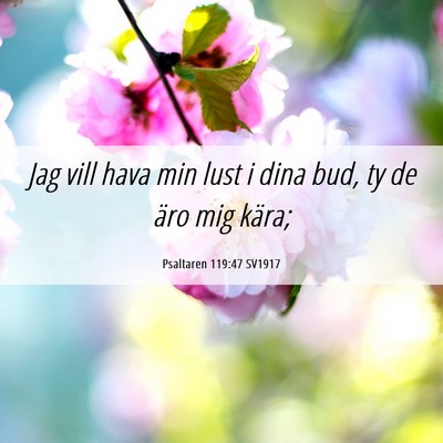 Picture 06 - Psaltaren 119:47 SV1917 - Jag vill hava min lust i dina bud, ty de äro mig - Bible Verse Picture