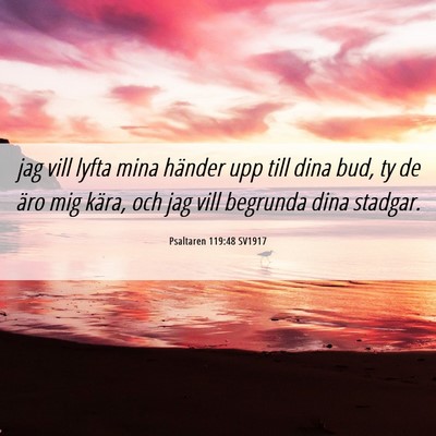 Picture 06 - Psaltaren 119:48 SV1917 - jag vill lyfta mina händer upp till dina bud, ty - Bible Verse Picture