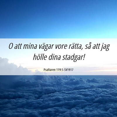Picture 06 - Psaltaren 119:5 SV1917 - O att mina vägar vore rätta, så att jag hölle - Bible Verse Picture
