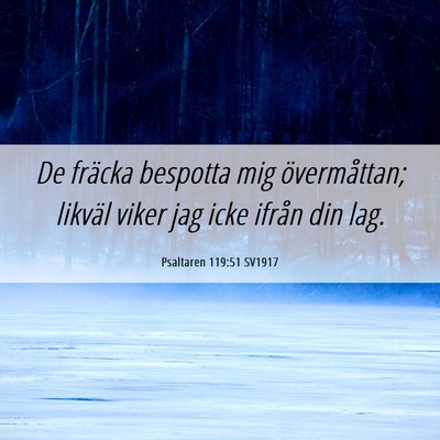 Picture 06 - Psaltaren 119:51 SV1917 - De fräcka bespotta mig övermåttan; likväl - Bible Verse Picture