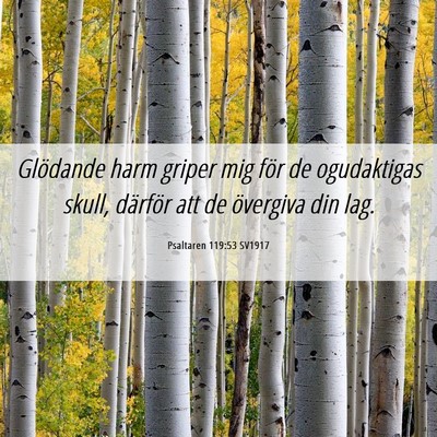 Picture 06 - Psaltaren 119:53 SV1917 - Glödande harm griper mig för de ogudaktigas - Bible Verse Picture