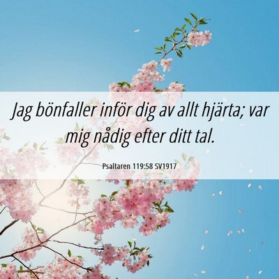 Picture 06 - Psaltaren 119:58 SV1917 - Jag bönfaller inför dig av allt hjärta; var - Bible Verse Picture