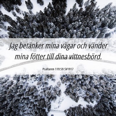 Picture 06 - Psaltaren 119:59 SV1917 - Jag betänker mina vägar och vänder mina - Bible Verse Picture