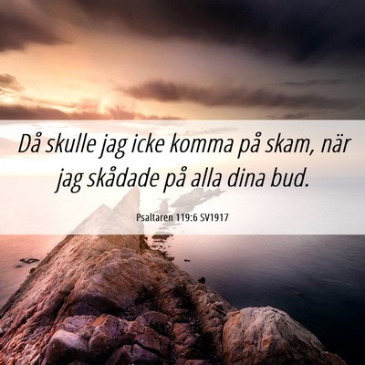 Picture 06 - Psaltaren 119:6 SV1917 - Då skulle jag icke komma på skam, när jag - Bible Verse Picture