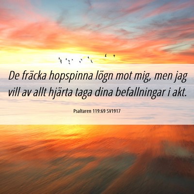 Picture 06 - Psaltaren 119:69 SV1917 - De fräcka hopspinna lögn mot mig, men jag vill - Bible Verse Picture