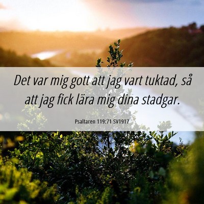 Picture 06 - Psaltaren 119:71 SV1917 - Det var mig gott att jag vart tuktad, så att jag - Bible Verse Picture