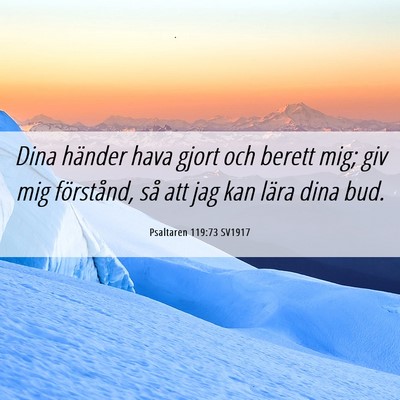 Picture 06 - Psaltaren 119:73 SV1917 - Dina händer hava gjort och berett mig; giv mig - Bible Verse Picture