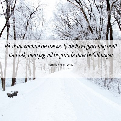 Picture 06 - Psaltaren 119:78 SV1917 - På skam komme de fräcka, ty de hava gjort mig - Bible Verse Picture