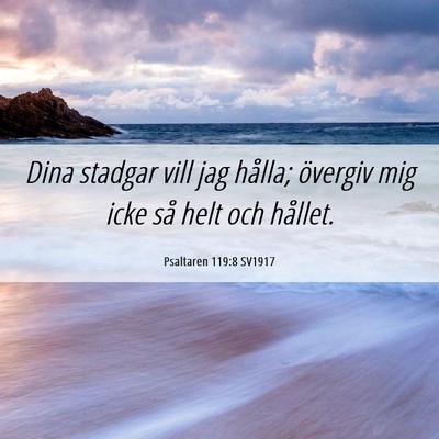 Picture 06 - Psaltaren 119:8 SV1917 - Dina stadgar vill jag hålla; övergiv mig icke - Bible Verse Picture