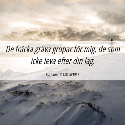 Picture 06 - Psaltaren 119:85 SV1917 - De fräcka gräva gropar för mig, de som icke - Bible Verse Picture