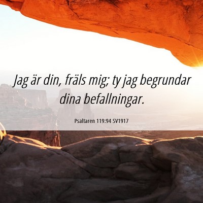 Picture 06 - Psaltaren 119:94 SV1917 - Jag är din, fräls mig; ty jag begrundar dina - Bible Verse Picture