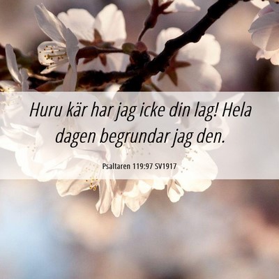 Picture 06 - Psaltaren 119:97 SV1917 - Huru kär har jag icke din lag! Hela dagen - Bible Verse Picture