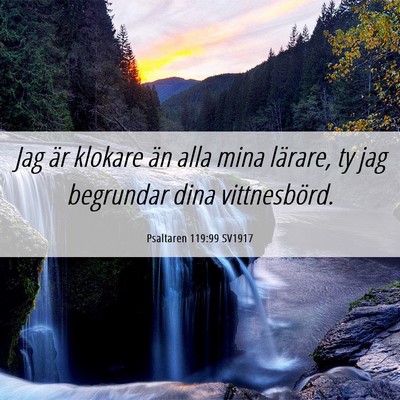 Picture 06 - Psaltaren 119:99 SV1917 - Jag är klokare än alla mina lärare, ty jag - Bible Verse Picture