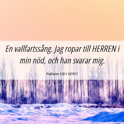 Picture 06 - Psaltaren 120:1 SV1917 - En vallfartssång. Jag ropar till HERREN i min - Bible Verse Picture