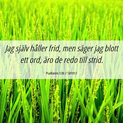 Picture 06 - Psaltaren 120:7 SV1917 - Jag själv håller frid, men säger jag blott ett - Bible Verse Picture