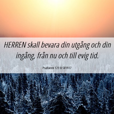 Picture 06 - Psaltaren 121:8 SV1917 - HERREN skall bevara din utgång och din ingång, - Bible Verse Picture