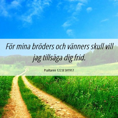 Picture 06 - Psaltaren 122:8 SV1917 - För mina bröders och vänners skull vill jag - Bible Verse Picture