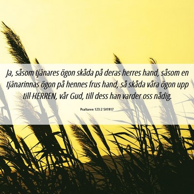 Picture 06 - Psaltaren 123:2 SV1917 - Ja, såsom tjänares ögon skåda på deras - Bible Verse Picture