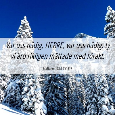 Picture 06 - Psaltaren 123:3 SV1917 - Var oss nådig, HERRE, var oss nådig, ty vi äro - Bible Verse Picture