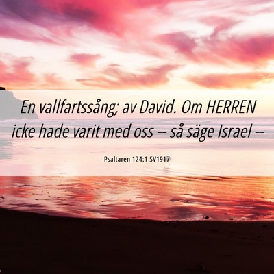 Picture 06 - Psaltaren 124:1 SV1917 - En vallfartssång; av David. Om HERREN icke hade - Bible Verse Picture