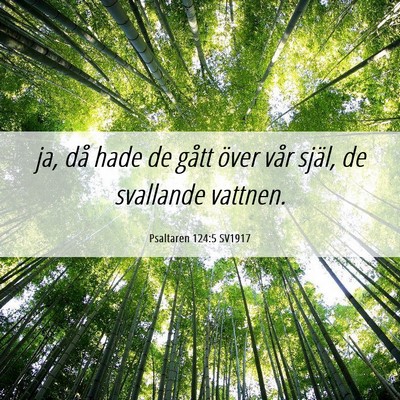 Picture 06 - Psaltaren 124:5 SV1917 - ja, då hade de gått över vår själ, de - Bible Verse Picture