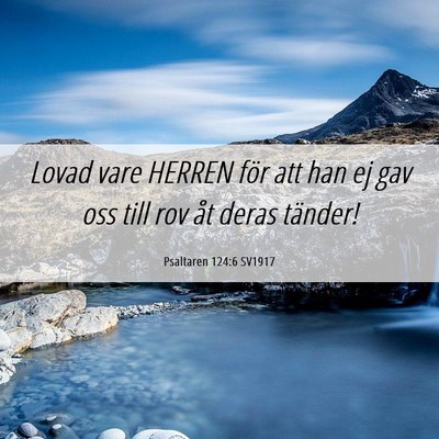 Picture 06 - Psaltaren 124:6 SV1917 - Lovad vare HERREN för att han ej gav oss till - Bible Verse Picture